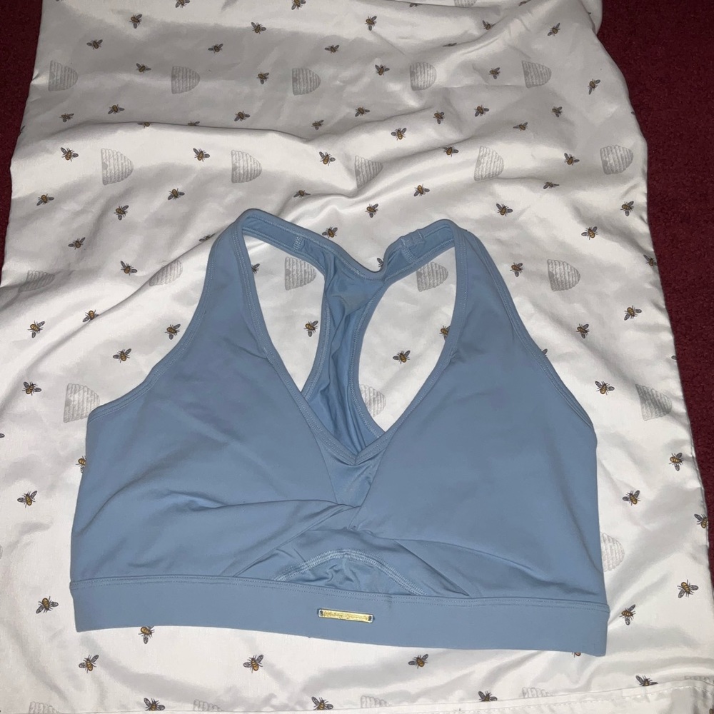 Whitney Simmons x Gymshark Blue sports bra